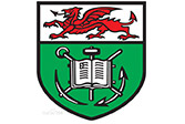 斯旺西大学