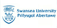 斯旺西大学