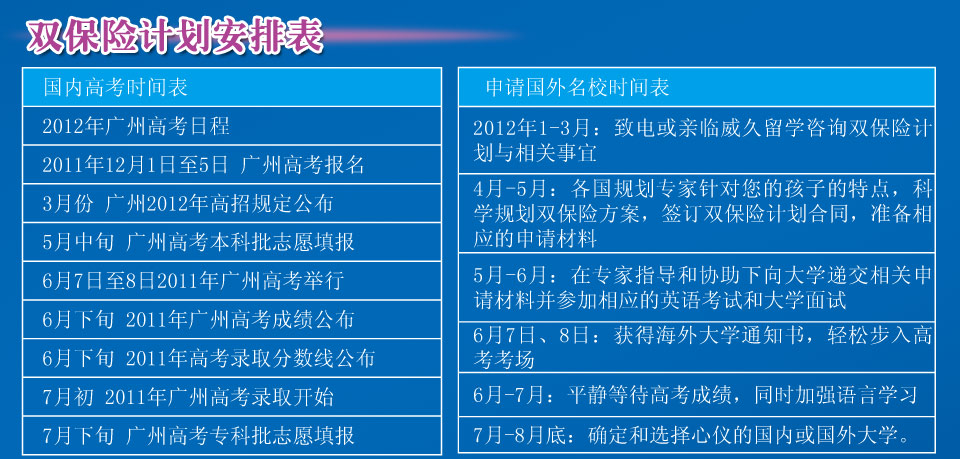 双保险计划安排表