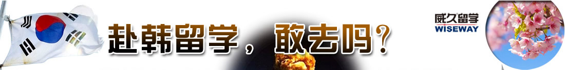 赴韩留学，敢去吗？