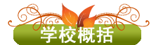 学校概况