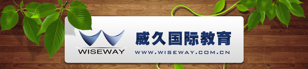 威久国际教育