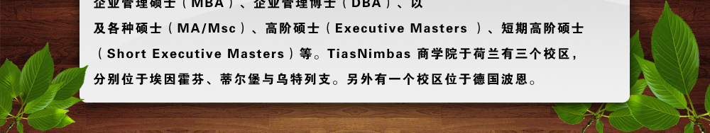 荷兰顶级商学院TiasNimbas2010年硕士申请正式拉开帷幕