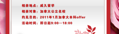 相亲活动时间安排