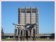 布鲁克大学