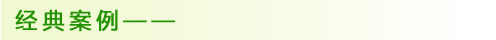 经典案例