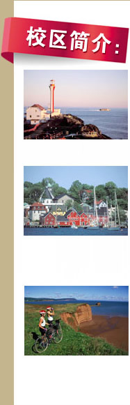 校区简介