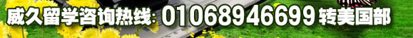 威久咨询电话:01068946699