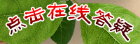 精彩答疑