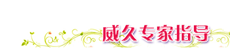 威久专家指导