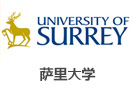 萨里大学