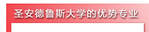 圣安德鲁斯大学的优势专业