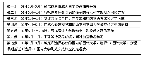 双保险计划流程