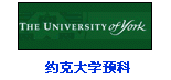 约克大学预科