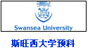 斯旺西大学预科