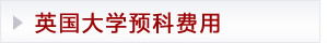 英国大学预科费用