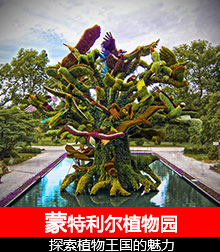 蒙特利尔植物园