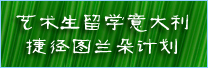 意大利图兰朵计划