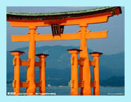 日本留学